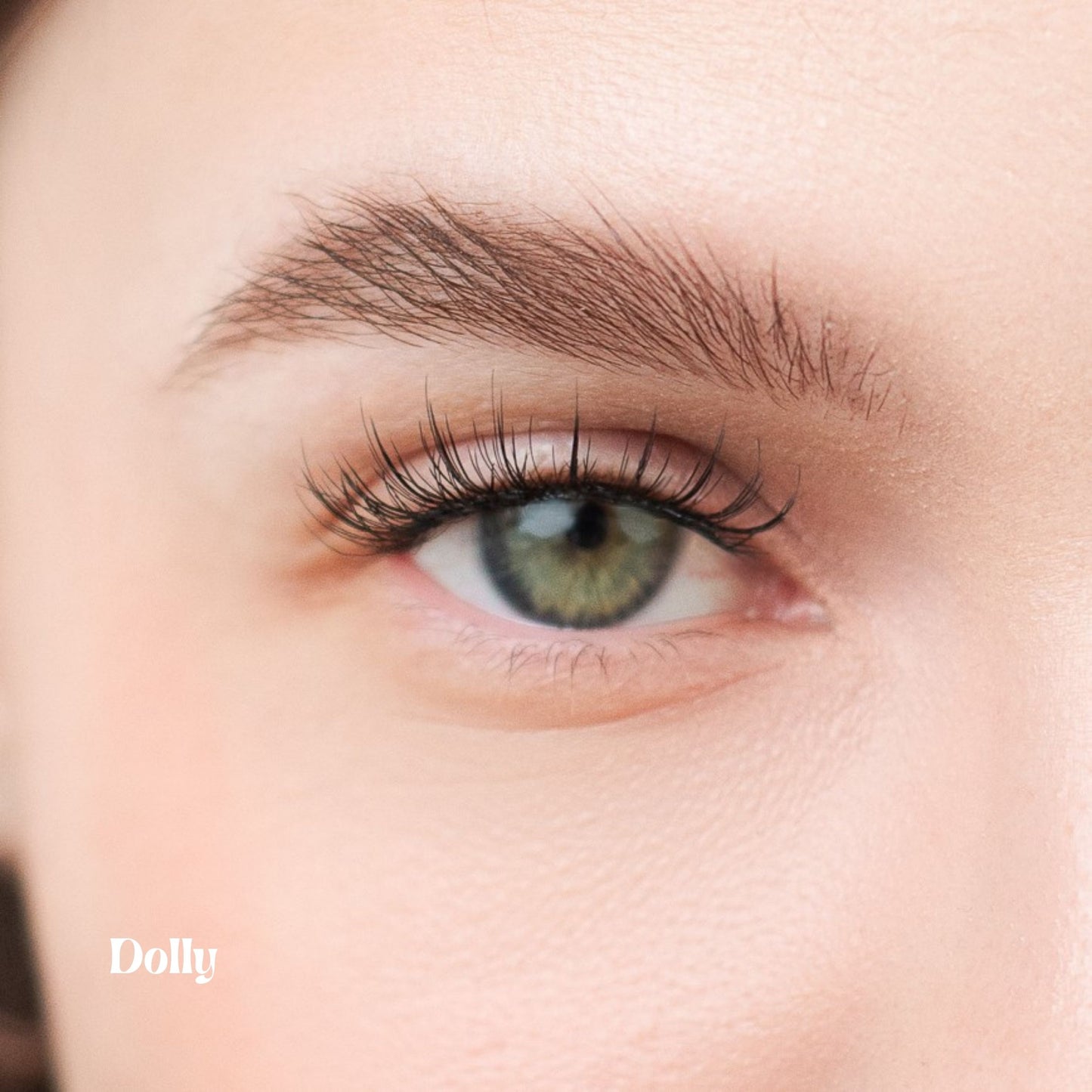 Lash Sammie Magnetic Clip-On Eyelashes